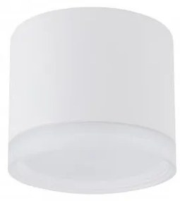 Σποτ Φωτιστικό Οροφής 1xGX53 Downlight Silba Nowodvorski 10476 Λευκό