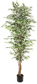 Supergreens Τεχνητό Δέντρο Φίκος "Benjamina Variegata" Πράσινο 180 εκ.