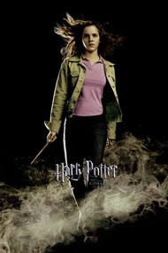 Εκτύπωση τέχνης Harry Potter - Hermione Granger, (26.7 x 40 cm)