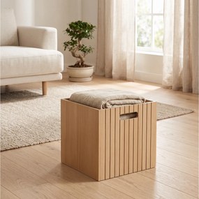 Αποθηκευτικό Κουτί 5Five - 31x31x31cm - Καφέ