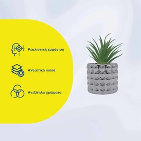 Τεχνητό Φυτό σε Μοντέρνο Κεραμικό Γλαστράκι 8.5x14cm