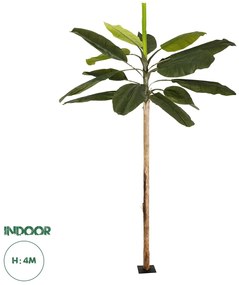 21501 GloboStar® Artificial Garden BANANA TREE 21501 Τεχνητό Διακοσμητικό Δέντρο Μπανανιάς Υ400cm
