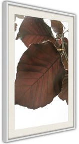 Αφίσα - Burgundy Tilia Leaf - 20x30 - Μαύρο - Με πασπαρτού