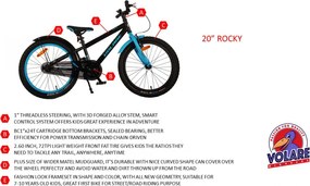 Rocky 20 Inch 27 cm Boys Coaster Brake Dark Grey/Orange
