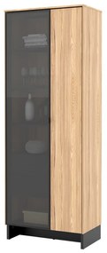 Βιτρίνα Fresno AL102, Ανοιχτό χρώμα ξύλου, Μαύρο, Με συρτάρια, Με πόρτες, Ο αριθμός των θυρών: 2, Αριθμός συρταριών: 2, 196x73x40cm, 74 kg