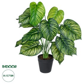 GloboStar® Artificial Garden CALATHEA 20912 Διακοσμητικό Φυτό Καλαθέα Υ75cm