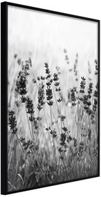 Αφίσα - Shadow of Meadow - 20x30 - Μαύρο - Χωρίς πασπαρτού