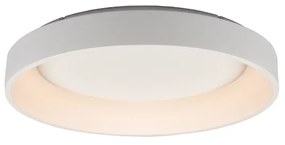 ΦΩΤΙΣΤΙΚΟ ΟΡΟΦΗΣ LED ΛΕΥΚΟ ΜΕΤΑΛΛΙΚΟ APOLLO BR81LEDC78WH