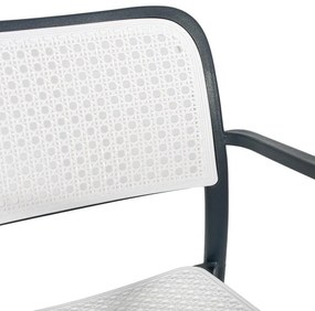 Καρέκλα Olesia Fylliana Ανθρακί - Γκρί 56x43x81 εκ. 56x43x81 εκ.