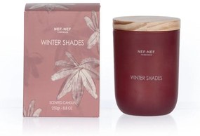 Αρωματικό Κερί Winter Shades255gr Bordo Nef-Nef