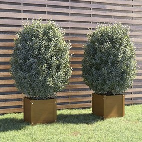 vidaXL Ζαρντινιέρες 2 τεμ. Μελί 40 x 40 x 40 εκ. από Μασίφ Ξύλο Πεύκου