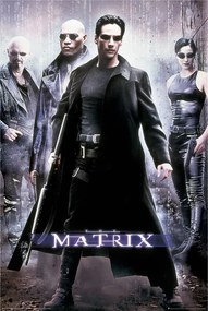 Αφίσα Matrix - Χάκερ, (61 x 91.5 cm)
