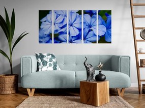 Εικόνα 5 τμημάτων μπλε μπλε λουλούδια - 100x50