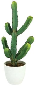 Τεχνητός Κάκτος Σε Κασπώ 04-00-22096 22x20x48cm White-Green Marhome Synthetic