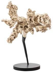 Artwork/Sculpture S Line 62cm S3504-00K4