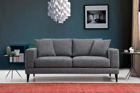 Διθέσιος Καναπές Σκούρο Γκρι SASORE 180x90x85