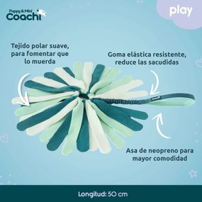 Λουρί Σκύλου Coachi