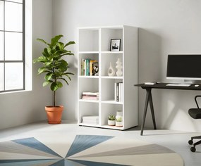 Βιβλιοθήκη Organizer II-Leuko