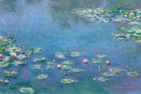 Αφίσα Claude Monet - Waterlillies