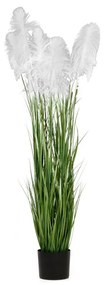 Φυτό Pampas Grass Λευκό iliadis Φ20x180εκ. 85074