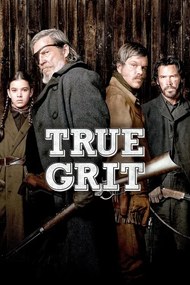 Εικονογράφηση True Grit (2010)