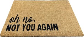 Πατάκι Εισόδου (40x60) Pol Rugs & Mats Ibiza Not You