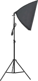 vidaXL Φωτιστικά Studio Επαγγελματικά 2 τεμ. 40 x 60 εκ.
