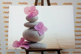 Φανταστείτε πέτρες και ροζ ανατολίτικα λουλούδια - 60x40