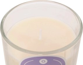 Κερί Αρωματικό 210gr (Φ8.3x9) A-S Floa Orchid 207012B