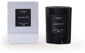 Αρωματικό Κερί Autumn Dusk 200gr Black Nef-Nef Glass