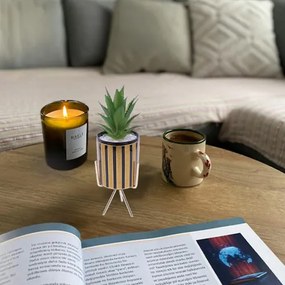 Τεχνητό Φυτό σε Κεραμικό Γλαστράκι και Χρυσή Βάση 8x24cm - Καφέ