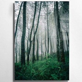 Πίνακας Γυάλινος 970GLS1284 70x100cm Multi Wallity Κάθετοι Glass