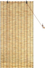 vidaXL Ρόλερ (στόρι) Φυσικό 80 x 160 cm Καλάμι