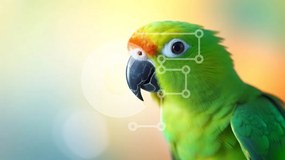 Intra Συλλεκτικό Ξύλινο Παζλ Plywood 4mm - Πράσινος παπαγάλος με ορθάνοιχτο ράμφος Σε Ξύλινο Κουτί - Διαστάσεις: 10x10 cm – 25 κομμάτια