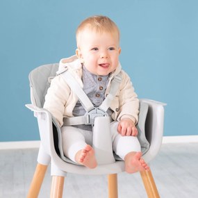 Καρέκλα φαγητού Suino 2 σε 1