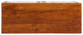 vidaXL Ντουλάπα Παπουτσιών Καφέ 90 x 35 x 55 εκ. Μασίφ ξύλο ακακίας
