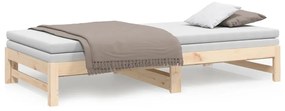 vidaXL Καναπές Κρεβάτι Συρόμενος 2x(100x200) εκ. από Μασίφ Ξύλο Πεύκου