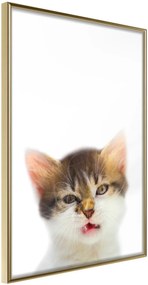 Αφίσα - Funny Kitten - 20x30 - Χρυσό - Χωρίς πασπαρτού