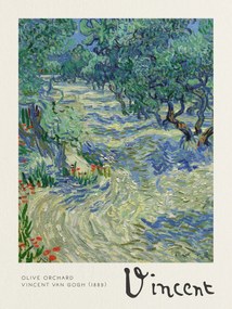 Αναπαραγωγή Olive Orchard - Vincent van Gogh, (30 x 40 cm)