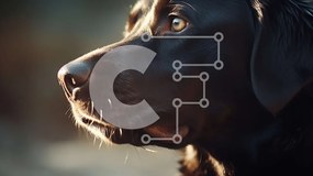 Intra Συλλεκτικό Ξύλινο Παζλ Plywood  4mm - Μαύρος σκύλος Labrador Retriever με γερμένο κεφάλι Σε Ξύλινο Κουτί - Διαστάσεις: 10x10 cm – 25 κομμάτια