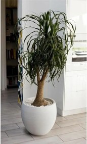 Βάζο Λουλουδιών EDA Graphit Στρόγγυλο Λευκό Ø 50 cm