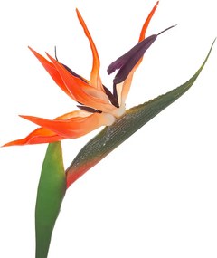 Τεχνητό Λουλούδι 83εκ. A-S Bird Of Paradise 193803