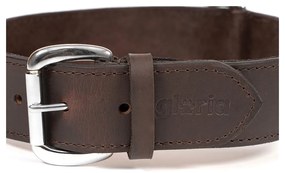 Κολλάρο Σκύλου Gloria Καφέ 60 cm (60 x 4 cm)