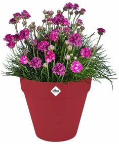 Βάζο Λουλουδιών Elho