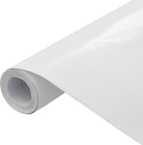 vidaXL Μεμβράνες Αυτοκινήτου 4D 2 τεμ. Λευκές 100 x 150 εκ.