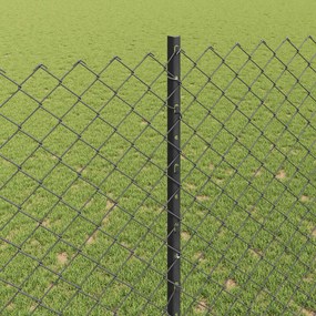 vidaXL Συρματόπλεγμα Περίφραξης με Πάσσαλο 10 x 1,6 m