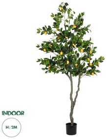 21106 GloboStar® Artificial Garden LEMON TREE 21106 Τεχνητό Διακοσμητικό Δέντρο Λεμονιά Υ200cm