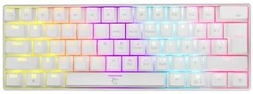 WHITE SHARK MECHANICAL KEYBOARD RED SWITCH SHINOBI WHITE