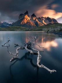 Φωτογραφία Torres del Paine, Karol Nienartowicz