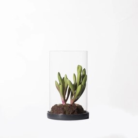 Supergreens Τεχνητό Φυτό Κρασούλα ''Skinny Fingers'' Πράσινο 15,5 εκ